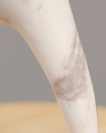 Vitri Pose II. / Humanitas