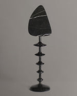 Spine